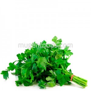 Culantro (Atado)