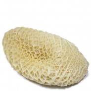 Panza de Res 1kg COD.35