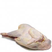 Gallina Criolla Entera Precio por kg COD.165