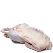 Pato Entero sin Menudencias COD.166