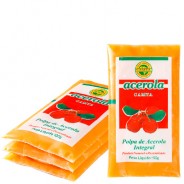 Pulpa de Acerola Integral 4x100g Camta