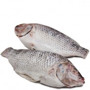 Tilapia 400~500g COD.127