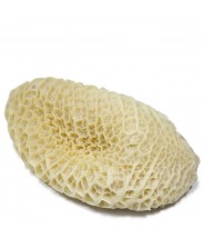 Panza de Res 1kg COD.35