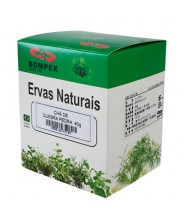 Té de Rompepiedra 40g Ervas Naturais