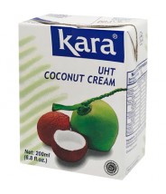 Crema de Coco UHT 200ml Kara