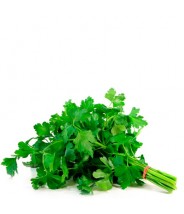 Culantro (Atado)