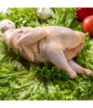 Gallina Criolla Entera Precio por kg COD.165