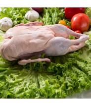 Pato Entero sin Menudencias COD.166