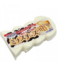 Queso Coalho 240g Vilmilk